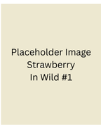 Placeholder - Strawberry Protein Gummies 6 pack
