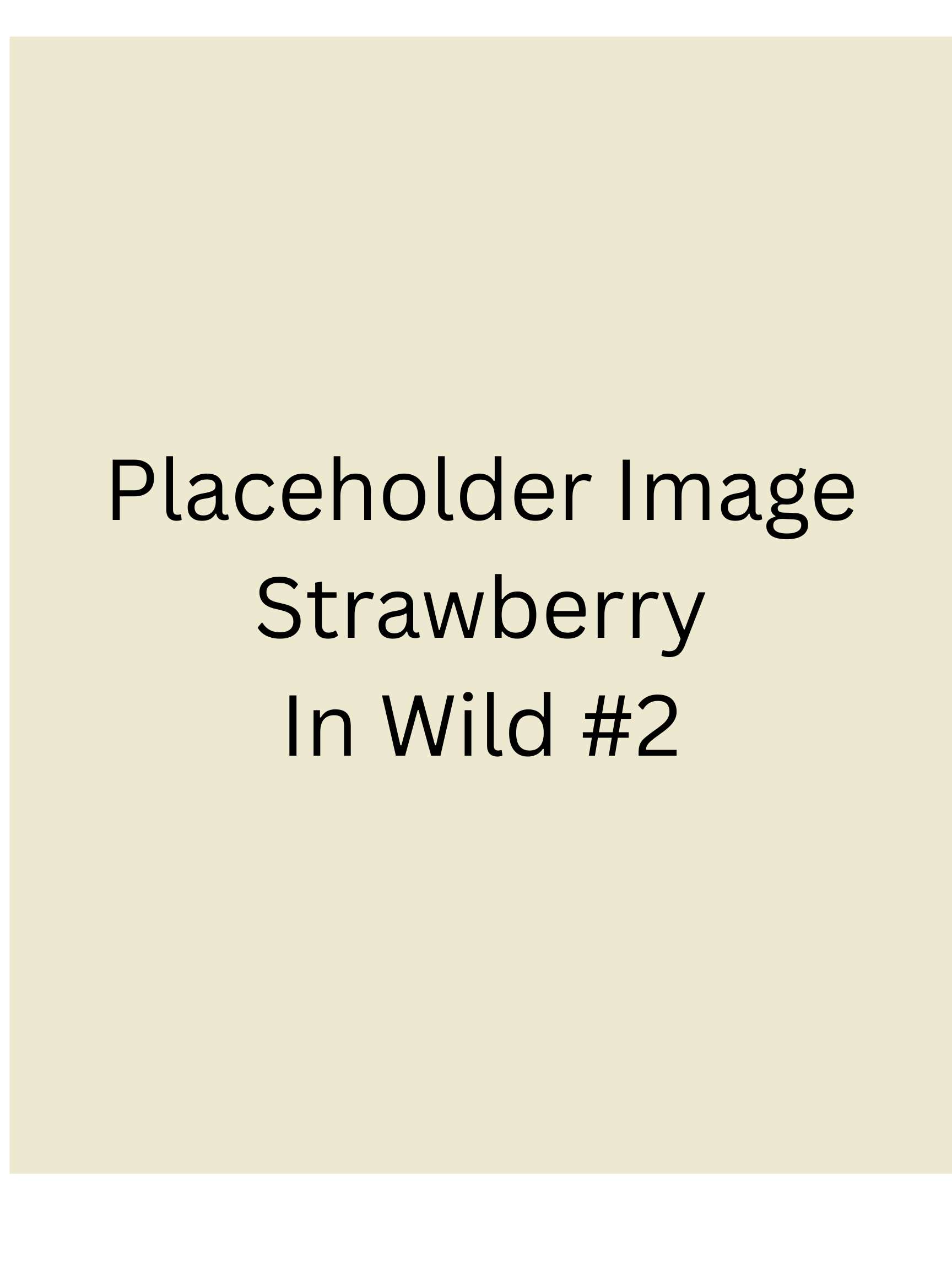 Placeholder - Strawberry Protein Gummies 6 pack