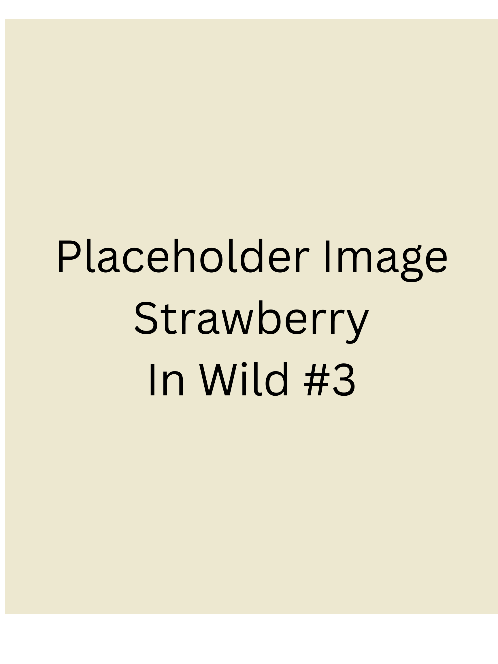 Placeholder - Strawberry Protein Gummies 6 pack