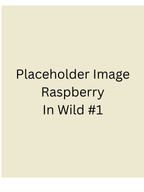 Placeholder - Raspberry Protein Gummies 6 pack