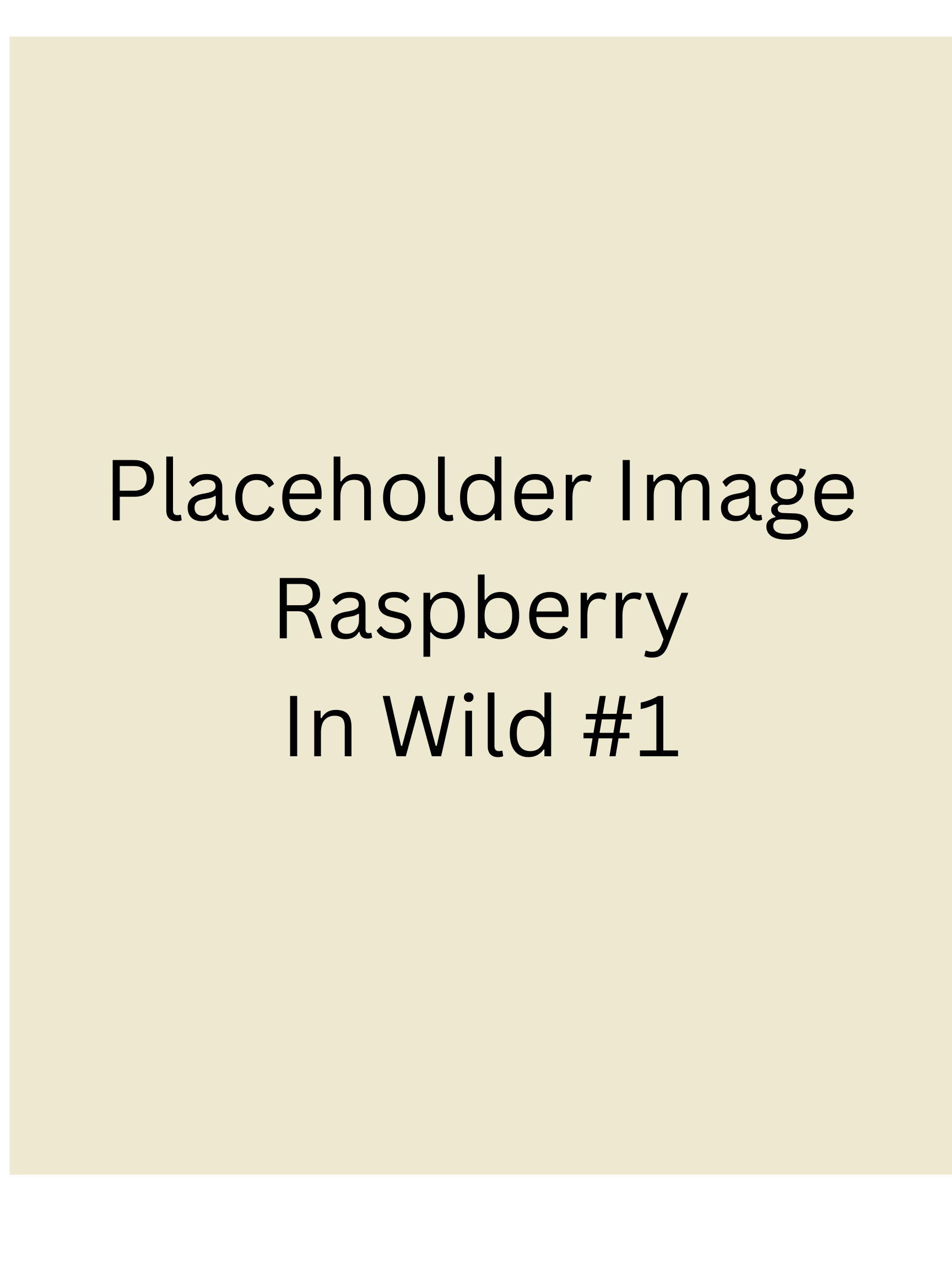 Placeholder - Raspberry Protein Gummies 6 pack