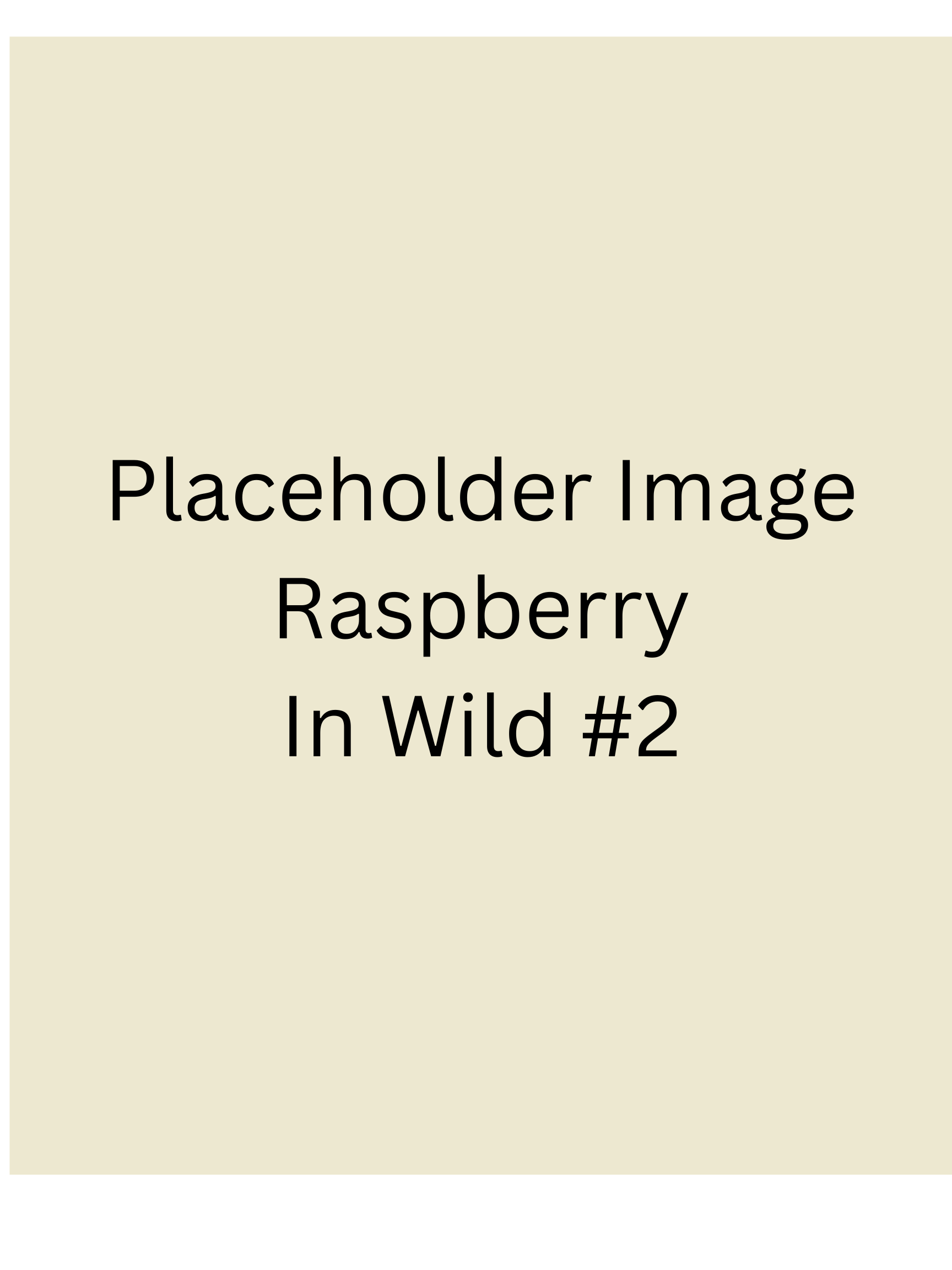 Placeholder - Raspberry Protein Gummies 6 pack