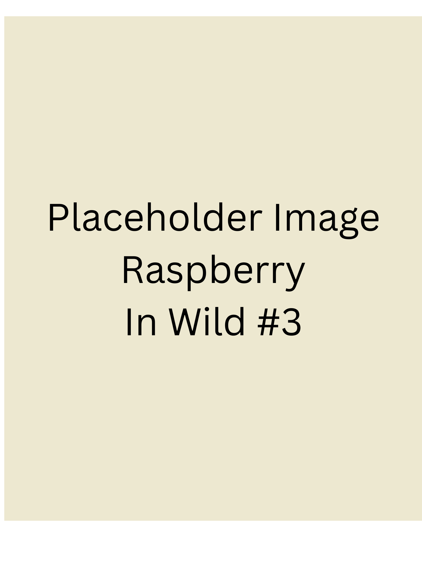 Placeholder - Raspberry Protein Gummies 6 pack