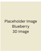 Placeholder - Blueberry Protein Gummies 6 pack