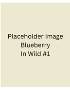 Placeholder - Blueberry Protein Gummies 6 pack
