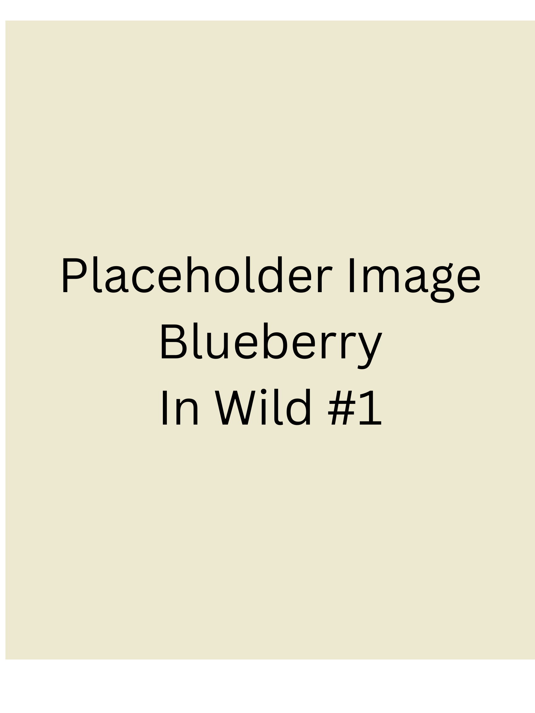 Placeholder - Blueberry Protein Gummies 6 pack
