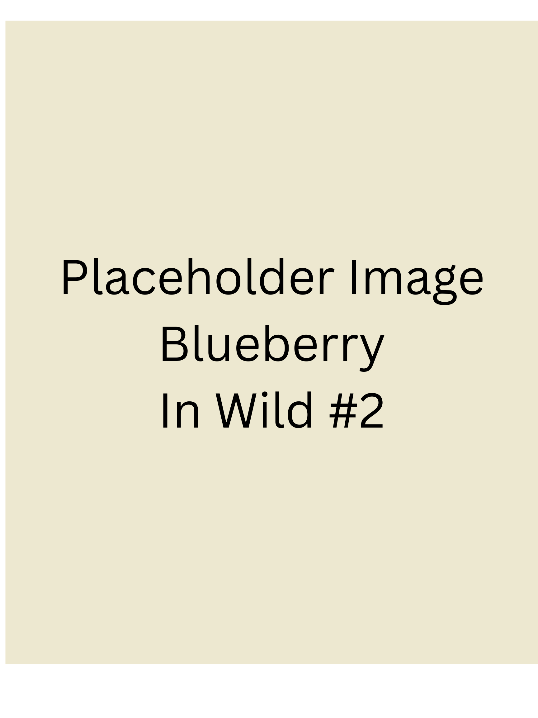 Placeholder - Blueberry Protein Gummies 6 pack