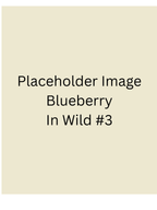 Placeholder - Blueberry Protein Gummies 6 pack
